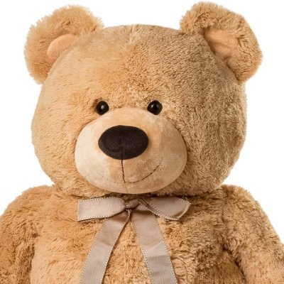Bear guyさんのプロフィール画像