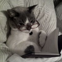 Rocío Cantó (@rociocantoua) 's Twitter Profile Photo