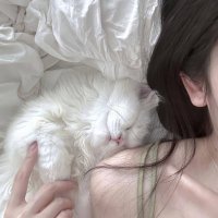 Lovely💕 (@miss_oocc) 's Twitter Profile