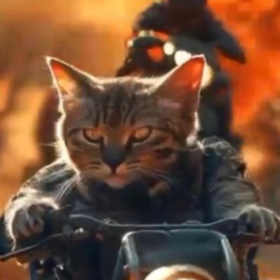 sean_nace's profile picture. #stantheman