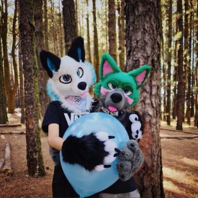 hasi_ktsn's profile picture. Kitsune/wolf | Software dev 👨🏽‍💻/ fursuiting 🦊/ tech freak | I live in a rock 🇮🇨 🇬🇧🇩🇪🇪🇸 | If you can’t be a fox, at least act like one🎈🦊