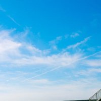 みゅう (@phto_bf) 's Twitter Profile