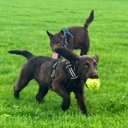 Susan Murtagh - @SusanMM85 - Twitter