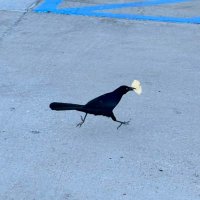 阿偉每天都不開心ಠ︵ಠ (@feel_badbad) 's Twitter Profile Photo