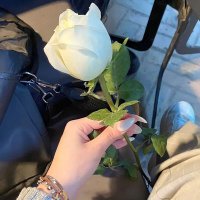 بنت الرياض (@bntlry817883) 's Twitter Profile