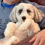 Oppose MAGA GOP fascism! Progressive Dem. Healthcare is a right. #BLM. Feminist. Atheist. Fan of science, data, facts. Love jazz, dogs, reading & Pilates.