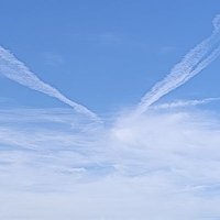 none (@luckyanyone) Twitter profile photo