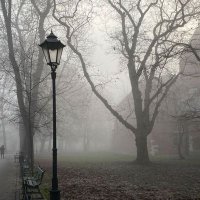 Realm (@resilient1331) 's Twitter Profile