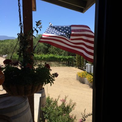 MAGA, God, family, country, art therapy, writing, art, small biz, constant reader, traveler, creativity, pet rescue. I BLOCK for ANY DM! Original Prom_Etheus!