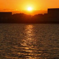 ふじみ (@jc_e257) 's Twitter Profile