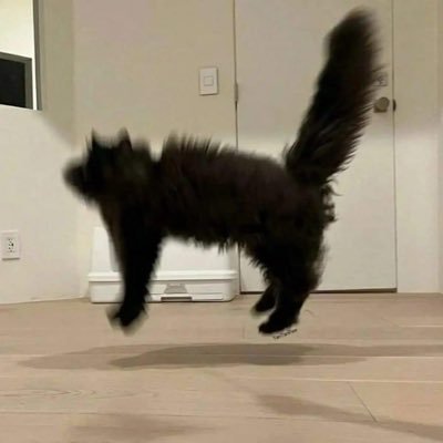 jkujb_yujnkk's profile picture. 