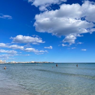 MaraNavarroMar3's profile picture. 