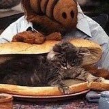 RiqueRadiomatic's profile picture. artist, educator, sports enthusiast