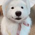 齋藤隆夫 (@long_fu1945) Twitter profile photo 齋藤隆夫 (@long_fu1945) Twitter profile photo