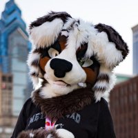 Pancake (@meepfloofstudio) 's Twitter Profile