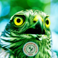 Biz Rizesporluyuz (@19mayis1953) 's Twitter Profile Photo Biz Rizesporluyuz (@19mayis1953) 's Twitter Profile Photo