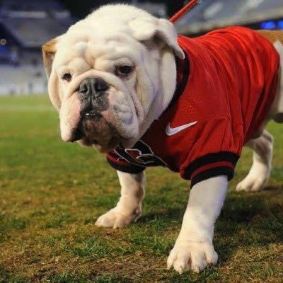 sfmorton's profile picture. Sales Wunderkind. Southern History Enthusiast. Savannah Native.