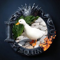 madness1205 (@madness78654) 's Twitter Profile