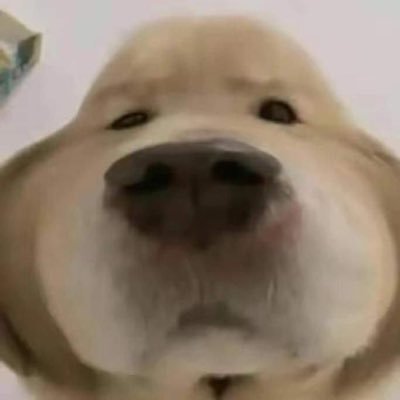 เหน่ยเค้ย 🐶🐱💍🌷✨さんのプロフィール画像