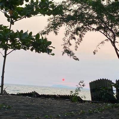 noonewillknow_2's profile picture. my digital diary