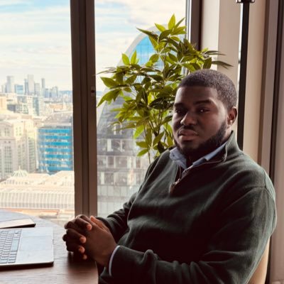 ERP systems consultant, Property Entrepreneur
