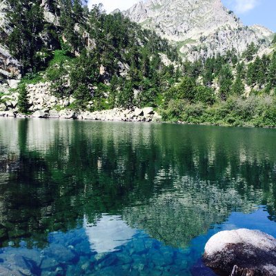 Betren17's profile picture. 