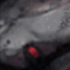 Kyeahoownbe's profile picture. 