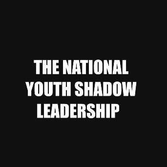 YouthShadowGovt's profile picture. The shadow is a moral problem that challenges the whole ego personality. For no one can become conscious of the shadow without considerable moral effort.