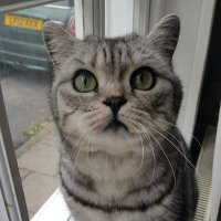 Anna (@anzhats) 's Twitter Profile