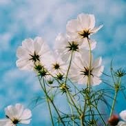 IbrahimKawesa1's profile picture. Because your life matters