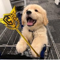 Fenix. (@fenixzzin1v4) 's Twitter Profile Photo Fenix. (@fenixzzin1v4) 's Twitter Profile Photo