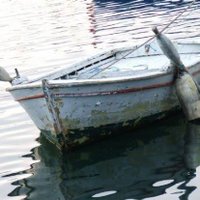 temel Tekin (@ttekin724) 's Twitter Profile