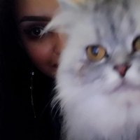 منار القُرشي. (@manarelqurashi) 's Twitter Profile