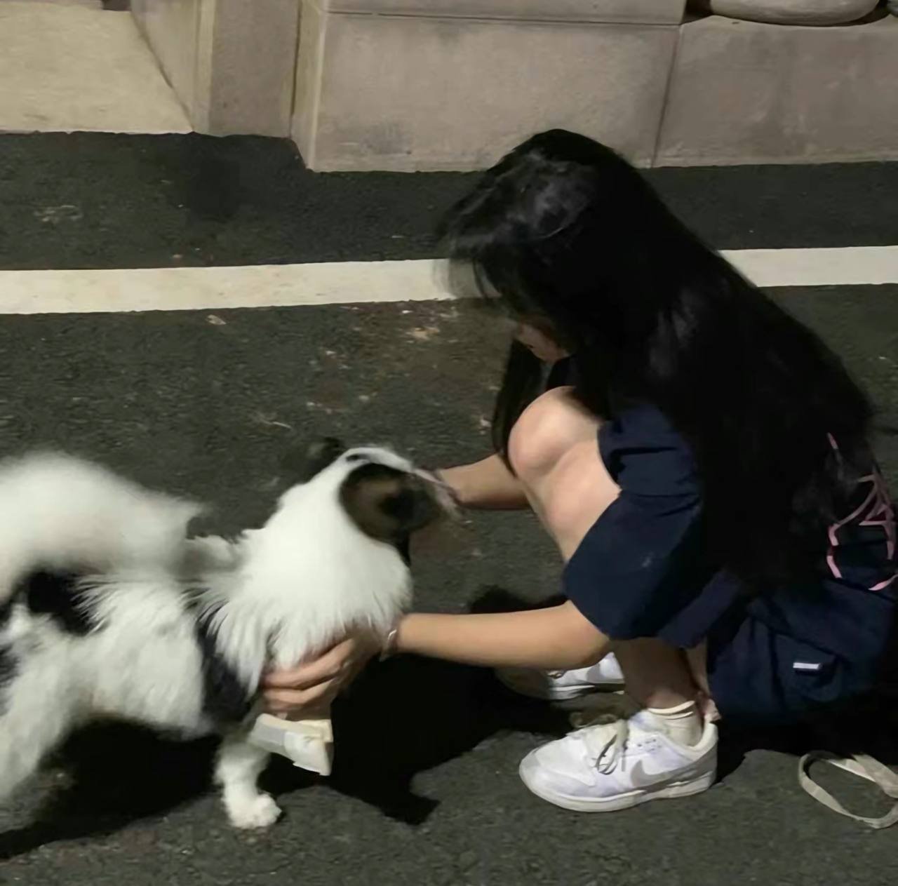 BernardSch24911's profile picture. 同城上门服务，无定金~无门槛～💋💋我的大号有我微信:@M389174 点击即可查看。 -----------------------------------------------------------------------安全Θ靠谱Θ极速Θ专业------