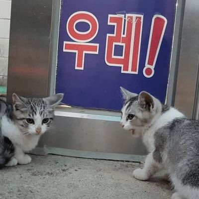 oqdhw's profile picture. 뱅쫑@ㅣ