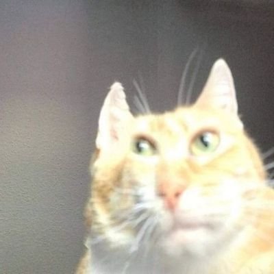 no context qrunx (swemo version)さんのプロフィール画像