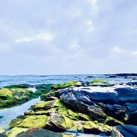 د .صالح القاسمي (@snm59) 's Twitter Profile