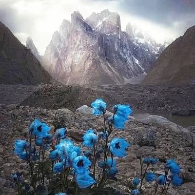 NancyCo11893284's profile picture. 