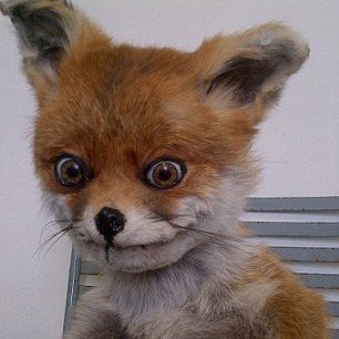 YuzMassao's profile picture. 