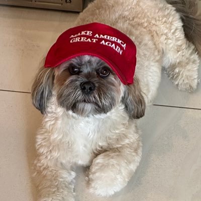 alisha_coh66436's profile picture. 