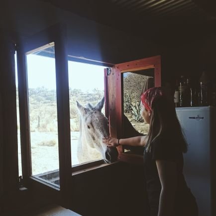 priii_bona's profile picture. 