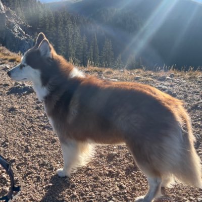 smith_patriot18's profile picture. Outdoorsman, backcountry expert, Medic, Pilot and Animal lover . Dad of daughters only No DM, No Smut, No crypto..no message