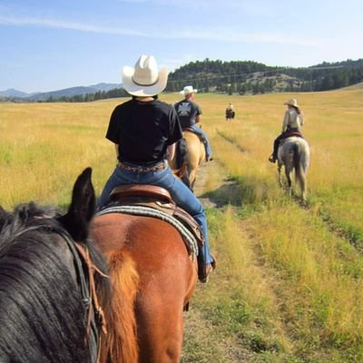 alotofstuf's profile picture. 🔆