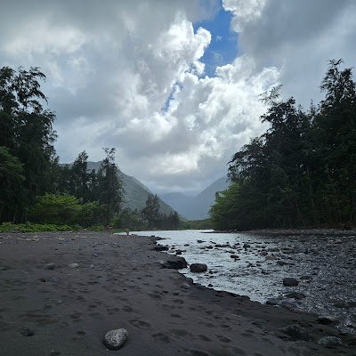 CarolynBuh3477's profile picture. 