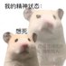Ichchi(crazy) (@kichech) Twitter profile photo Ichchi(crazy) (@kichech) Twitter profile photo
