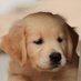Bruna Gomes (@brunagomes29243) Twitter profile photo Bruna Gomes (@brunagomes29243) Twitter profile photo