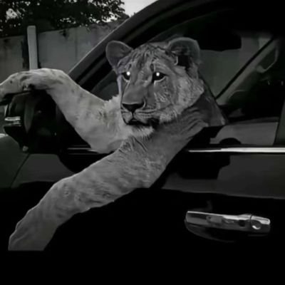 oRqdo_'s profile picture. 🐁 |  23cm  | always avaiable for tourneys |