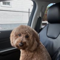 Mark (@emanuel679) 's Twitter Profile