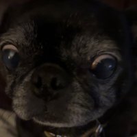Swxfter (@swxfterfv) 's Twitter Profile Photo Swxfter (@swxfterfv) 's Twitter Profile Photo