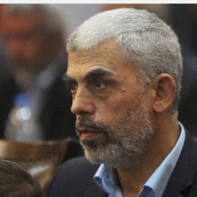 FPalestine29's profile picture. 